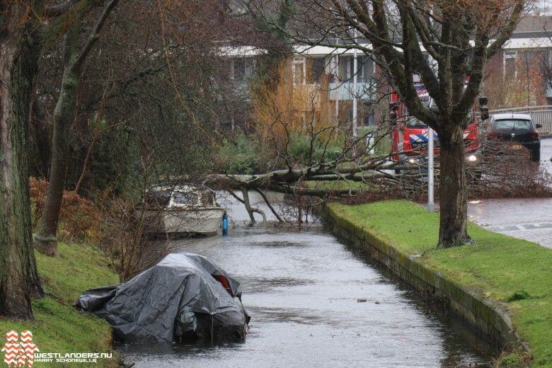 Boom languit over straat door harde wind