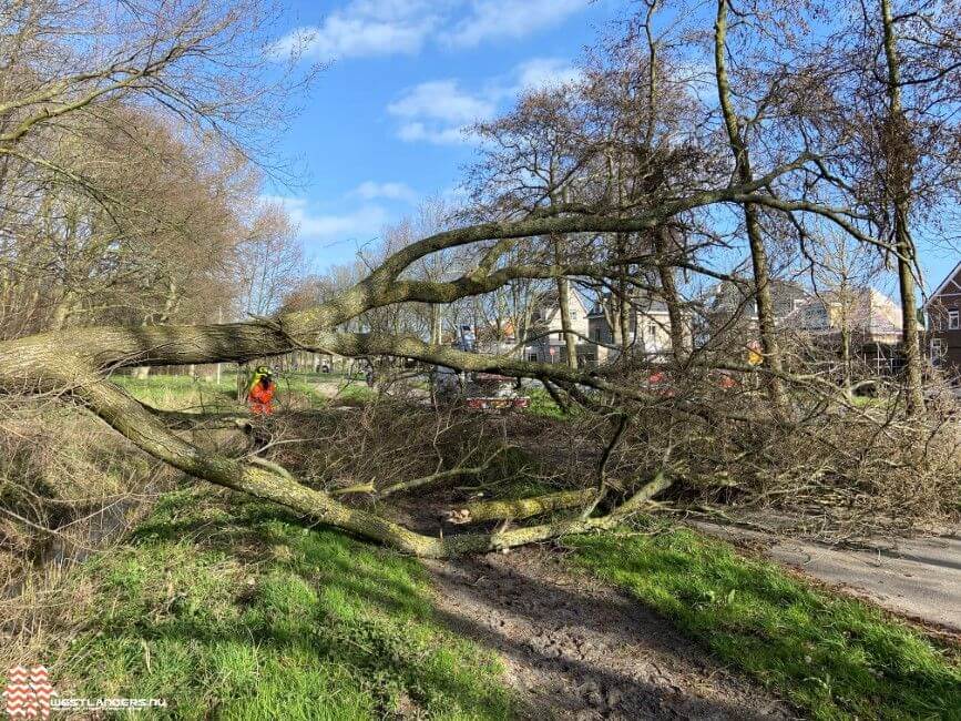 Meerdere incidenten vanwege de harde wind