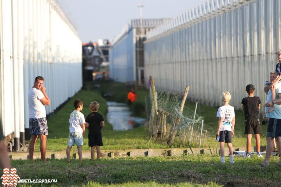 Brandweer door twee sloten om schaap te redden