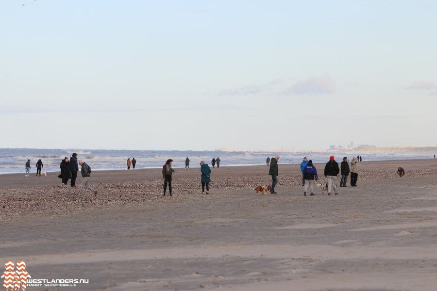 Vrachten schelpdieren op het Hoekse strand