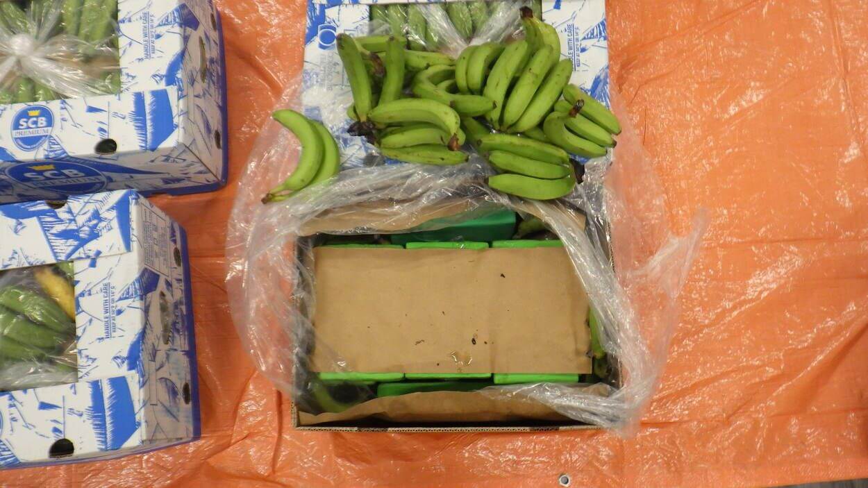 Drugshond vindt cocaïne tussen bananen