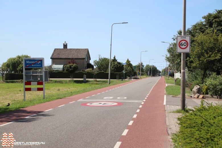 Overzicht bomenbeleid in gemeente Westland