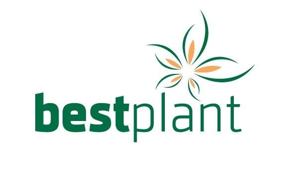 Initiatief is goud waard bij Bestplant!