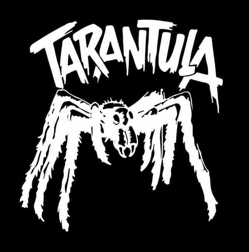 Muziekspektakel Tarantula laat Velohal trillen op grondvesten