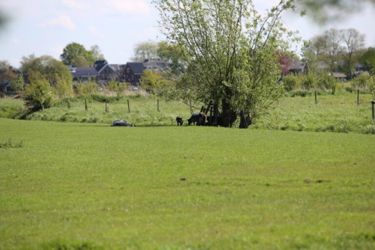 Zuid-Holland krijgt er 200 ha biodiverse akkers bij