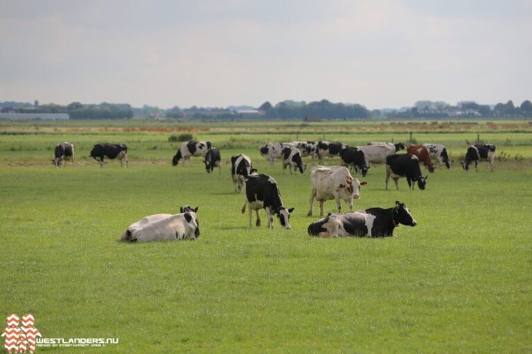 Huishoudinkomen biologische boer in 2021 hoger dan gangbare boer