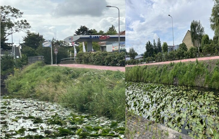 Stand van zaken rioleringsproblemen en veiligheid Nieuweweg