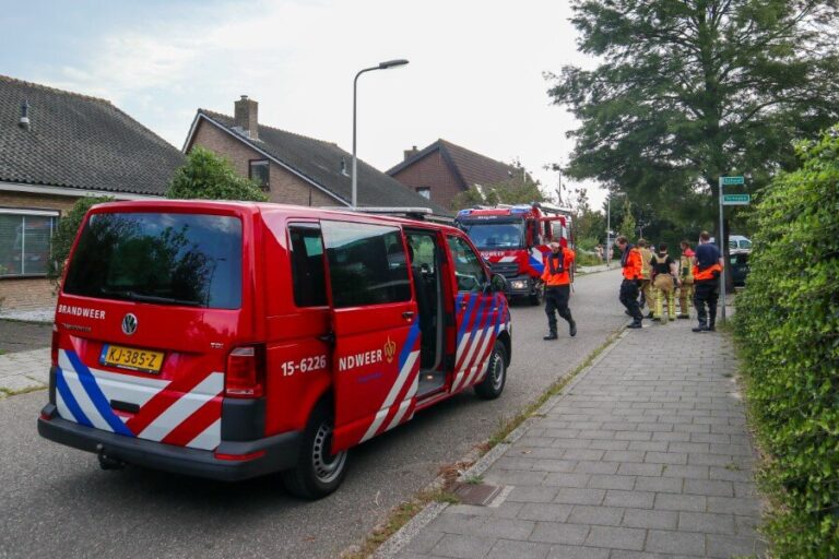 Zoekactie naar vermiste meisjes