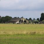 Boeren mogen twee weken langer mest uitrijden