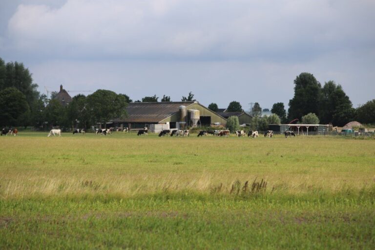 Boeren mogen twee weken langer mest uitrijden