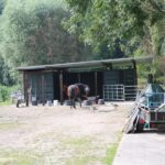 Nieuw onderkomen voor paarden aan het Jaagpad