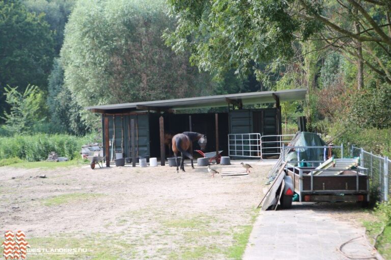 Nieuw onderkomen voor paarden aan het Jaagpad