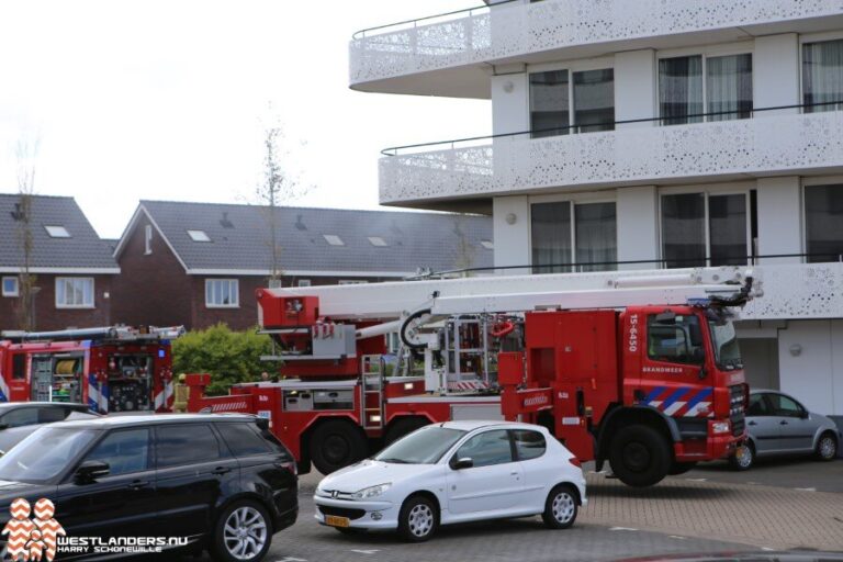 Vissen overleden na binnenbrand