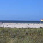 Delfland start werkzaamheden in de duinen