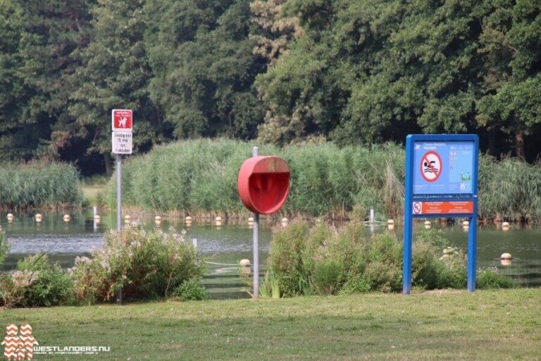 Blauwalgen in Delftse Hout