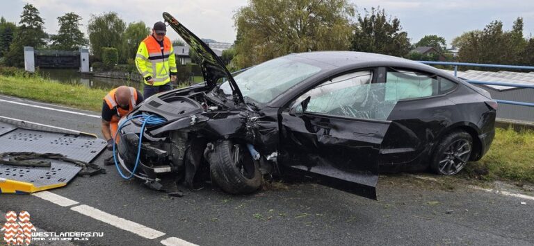 Tesla crasht op de Maasdijk (N220)