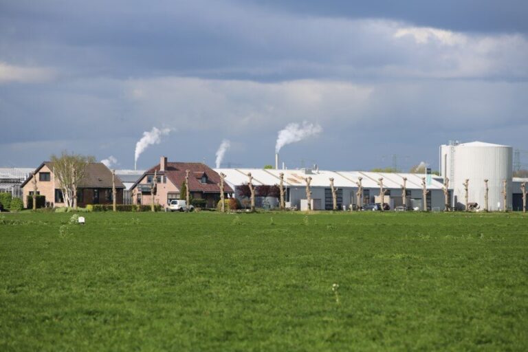 Oppervlakte belangrijkste glasgroenten in tien jaar tijd gestegen