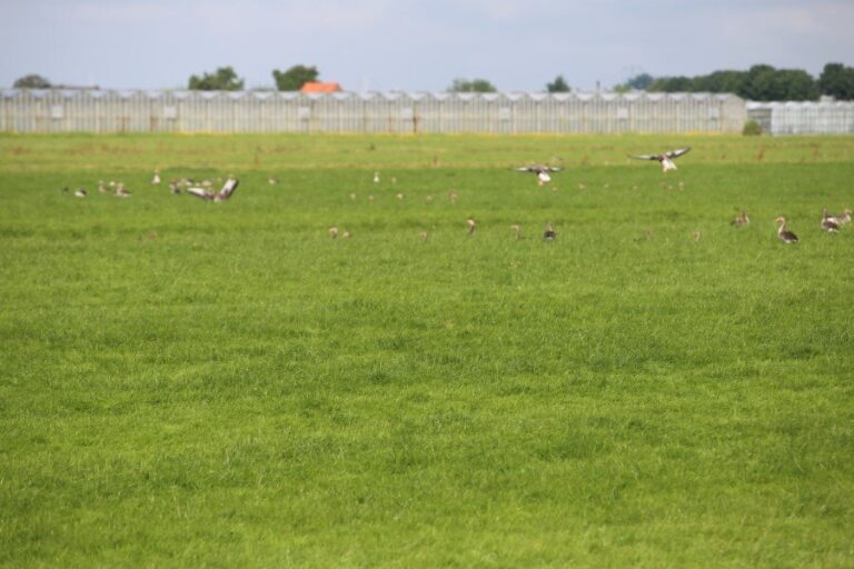 Gratis inzameling van (illegale) gewasbeschermingsmiddelen