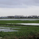 Delfland verwacht weer veel nattigheid