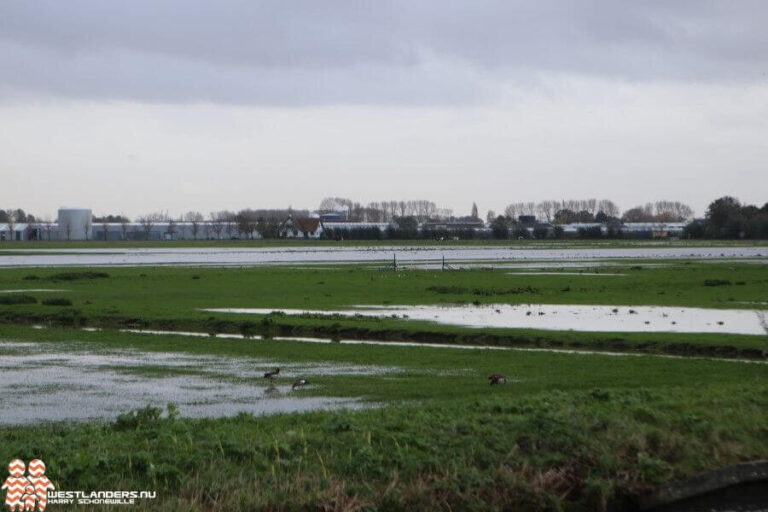 Delfland verwacht weer veel nattigheid