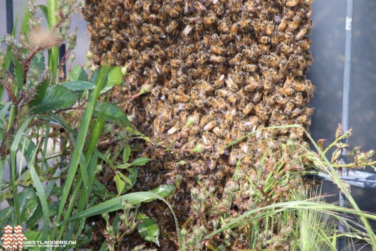 Bijenkasten aan lantaarnpalen voor biodiversiteit