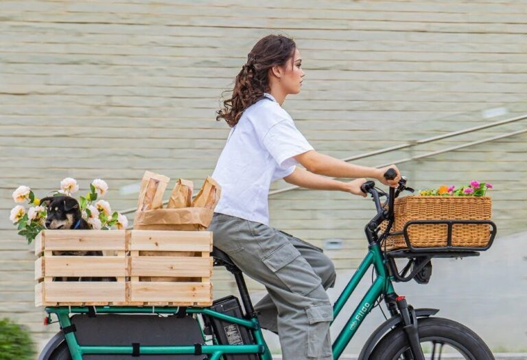 Welke Fiido elektrische fietsen zijn de moeite waard om te kopen?