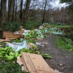 Vracht bananen gedumpt in natuurgebied