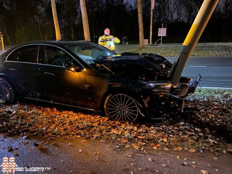 Automobilist botst tegen boom en lichtmast