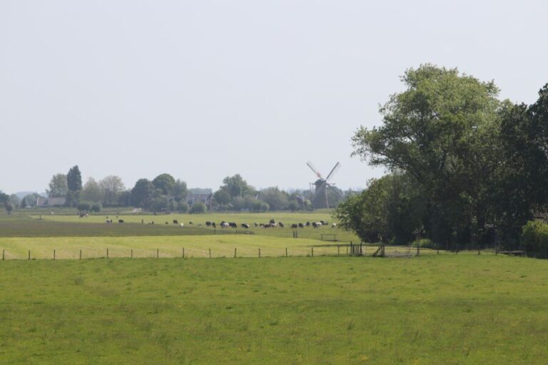 Extra geld voor agrarisch natuurbeheer in Zuid-Holland