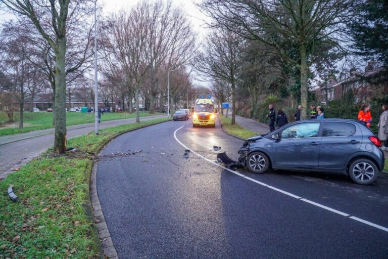 Automobilist botst tegen boom