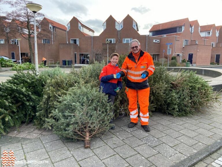 Cashen voor ingeleverde kerstbomen