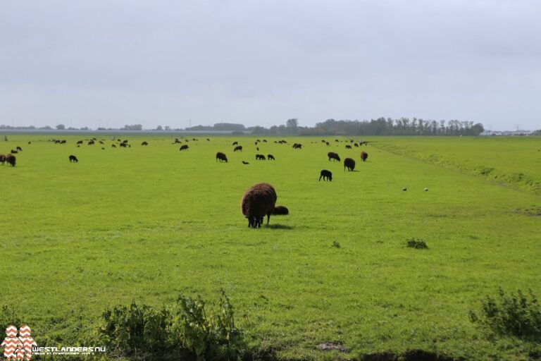 Weer 7 bestrijdingsmiddelen in het slootwater