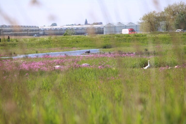 Boetes bij illegale arbeid fors omhoog