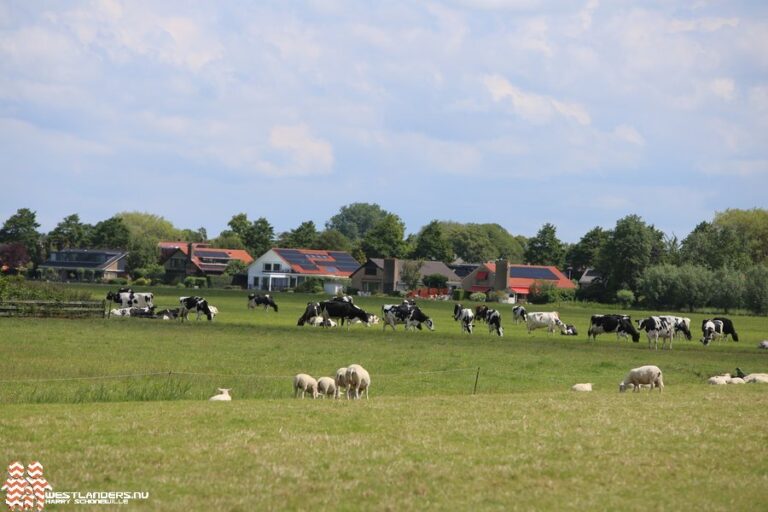 Laagste stikstofoverschot landbouw sinds 1990