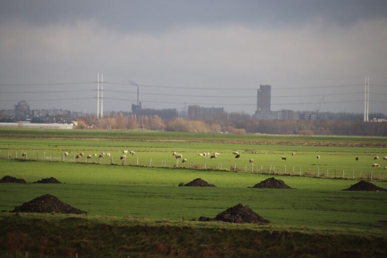 Staat moet wettelijk stikstofdoel 2030 halen