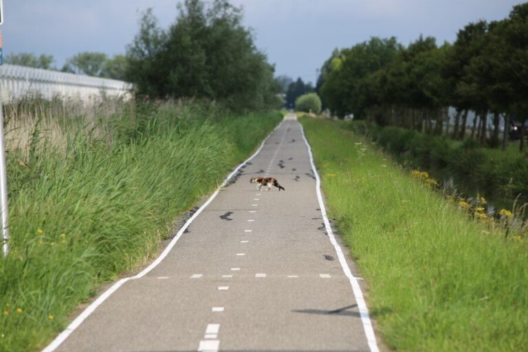 Collegevragen over slechte waterkwaliteit in Westland