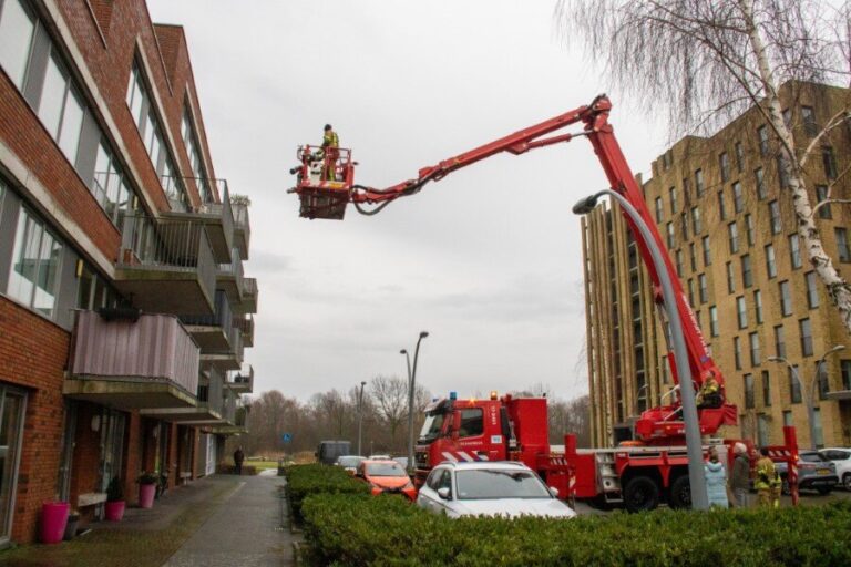 Kat in het nauw maakt rare sprongen