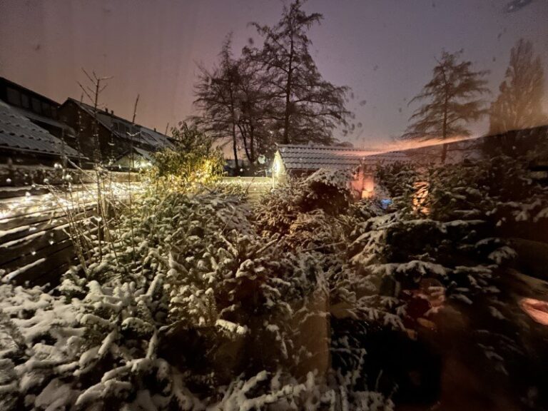 Kerstbomen inzamelen voor Alpe d’ HuZes