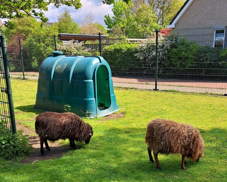 Kinderboerderij in Monster gaat sluiten