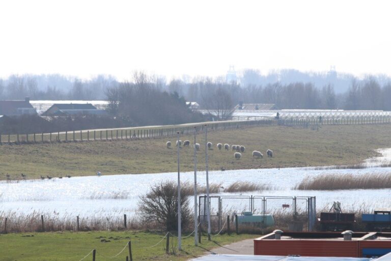 WV wenst andere keuzes bij invulling van Westlandse grond