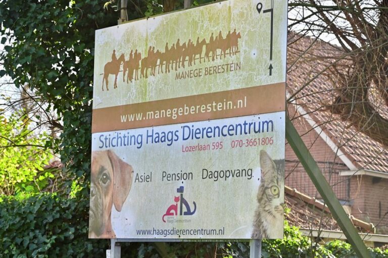 Dierenpension gesloten door personeelstekort