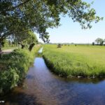 Rolstoel te water aan de Zuidkade