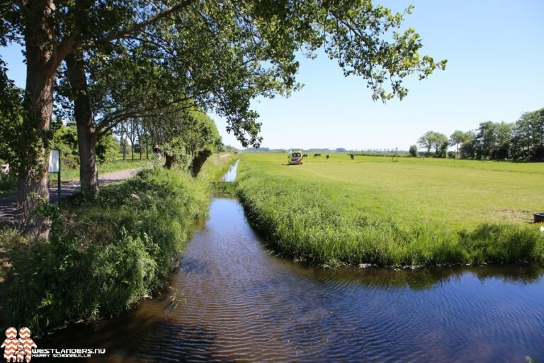 Rolstoel te water aan de Zuidkade