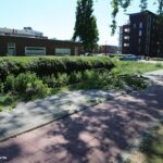 Stormschade aan de Verburghlaan