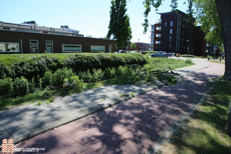 Stormschade aan de Verburghlaan