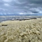 Waarschuwing watersporters voor zeeschuim