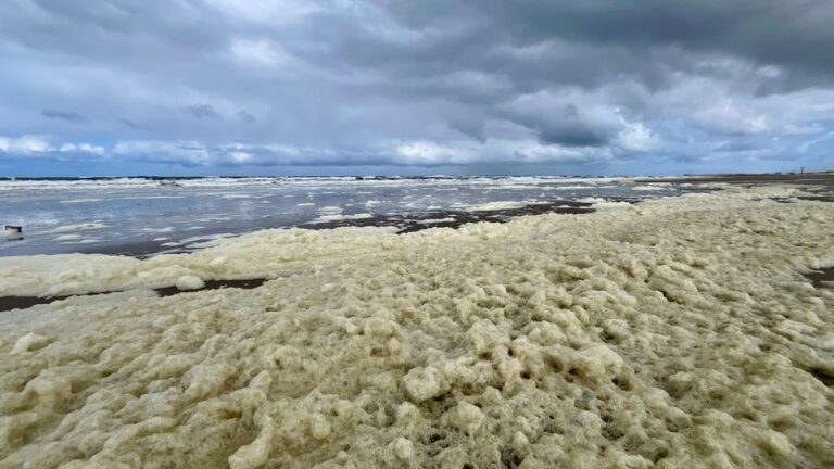 Waarschuwing watersporters voor zeeschuim