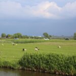 Stand van zaken watertekort in Delfland