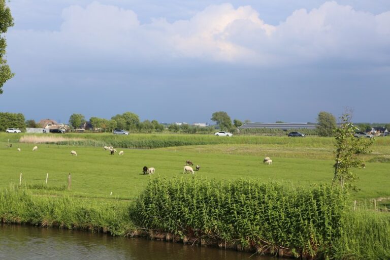 Stand van zaken watertekort in Delfland