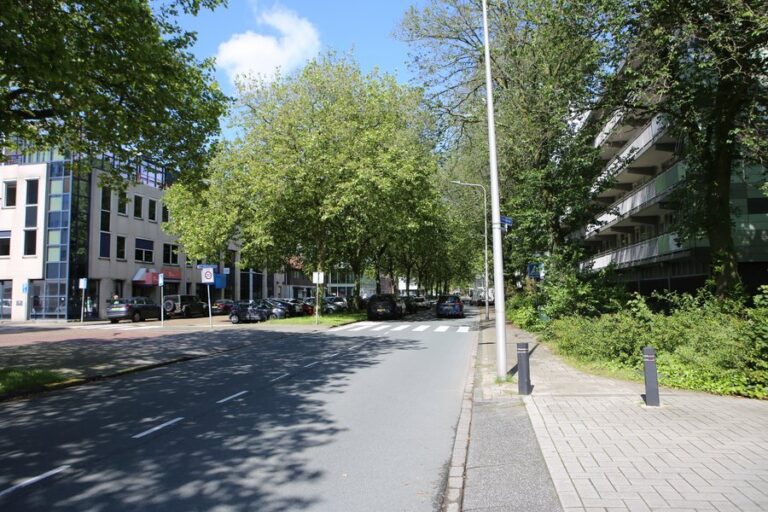 Collegevragen inzake vallende personen in Westland
